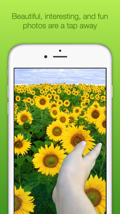 Chromatic Camera - Green Screen Photo Booth