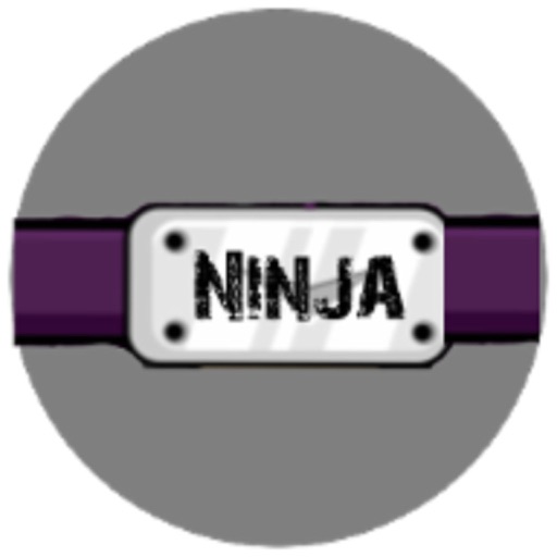 Ninja Fight Icon