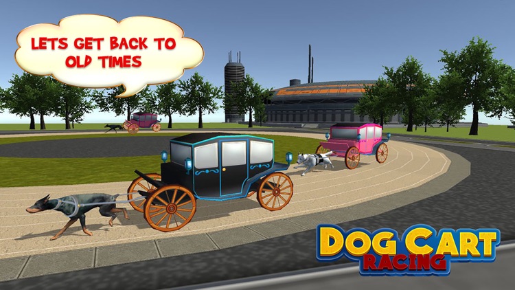 Dog Cart Race : sled dog race by driving  wagons