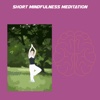 Short mindfulness meditation