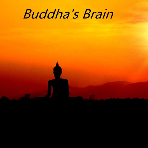 Quick Wisdom from Buddha's Brain- Happiness, Love