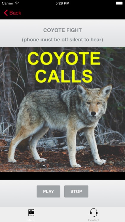 Coyote Calls for Hunting