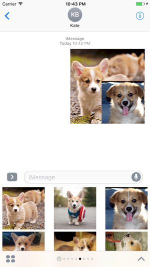 Corgi Sticker Pack(圖2)-速報App