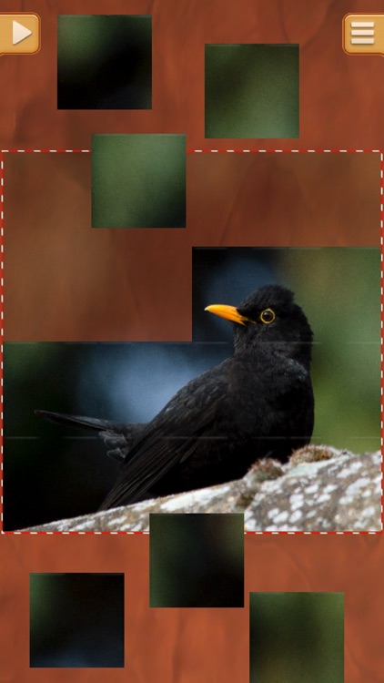 Birds Jigsaw Puzzles - Amazing Logical Game