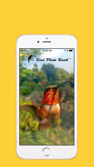 Bird Photo Booth(圖1)-速報App