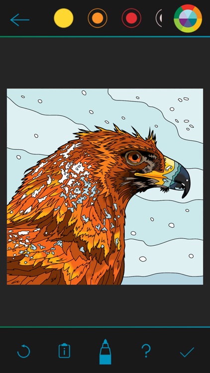 BBC Earth Colouring