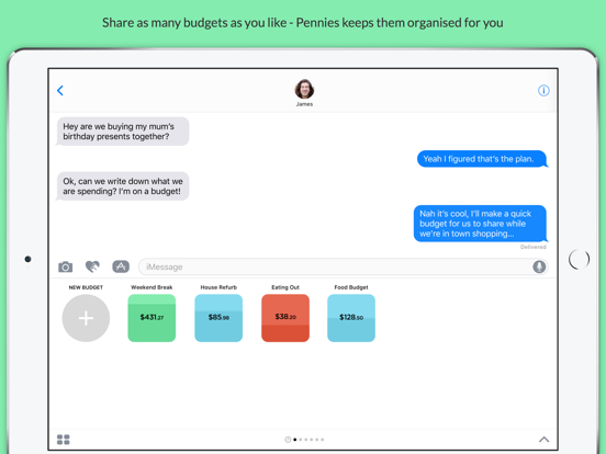 Pennies Mini - Share budgets with your friends screenshot 2