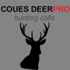 Coues Deer Calls & Coues Deer Sounds