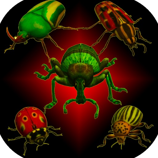 Real Bugs: Beetle Smasher 3D Icon