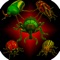 Real Bugs: Beetle Smasher 3D