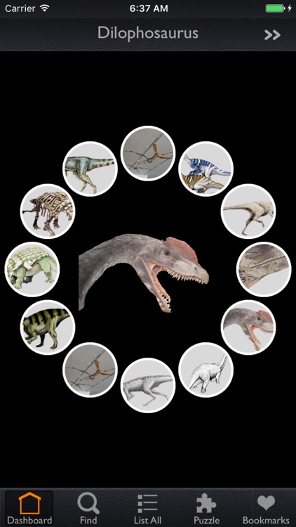Dynosaurs Info
