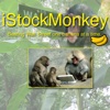 iStockMonkey