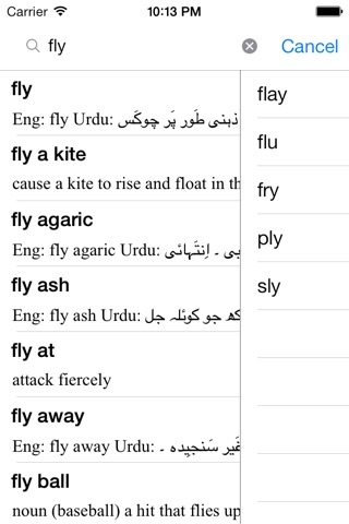 Urdu Dictionary - Dict Box screenshot 4