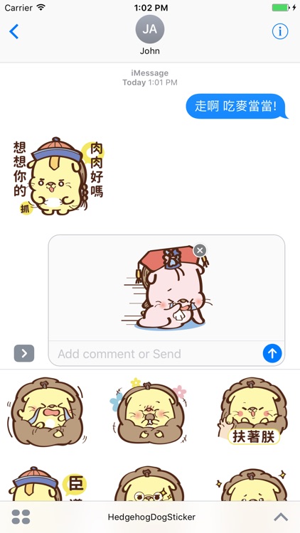 Furry Hedgehog dog YuanYuan(刺蝟狗-圓圓初登場)
