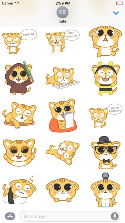 Cattitude - Cat Stickers