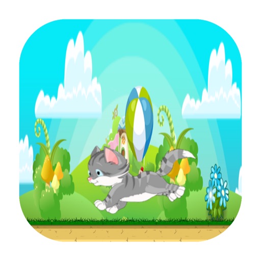 Adventure Cat Icon