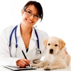 Veterinary Glossary-Study Guide and Video Lessons