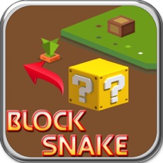 Activities of Block Snake Puzzle Game