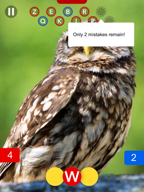 Osmo Words