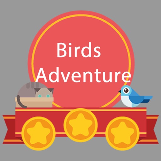 Birds Crazy Adventure iOS App