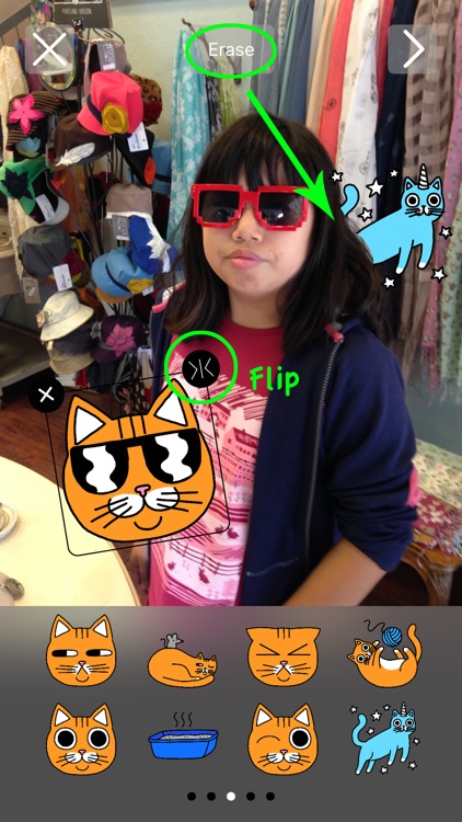 Cat Stickers for Messages & Photos