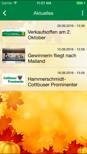 Lausitz Park Cottbus(圖5)-速報App