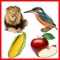 Toddler Educational activities  contains over 50 photos of vegetables , fruits,flowers,animals and birdds for kids from around the world