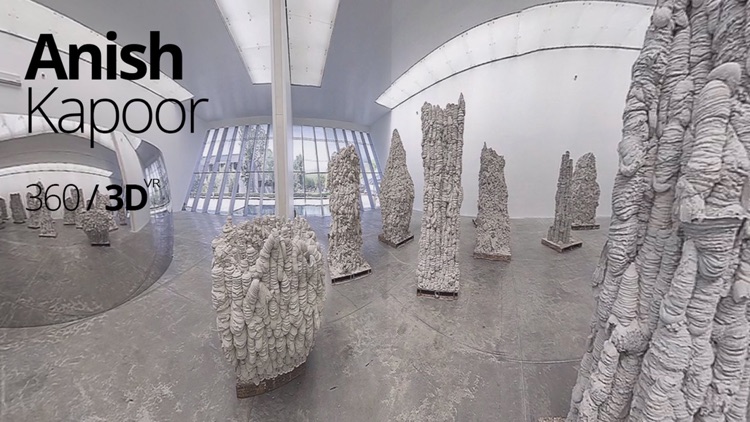 AnishKapoor3D360 screenshot-3