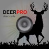 REAL Red Deer Calls & Red Deer Sounds