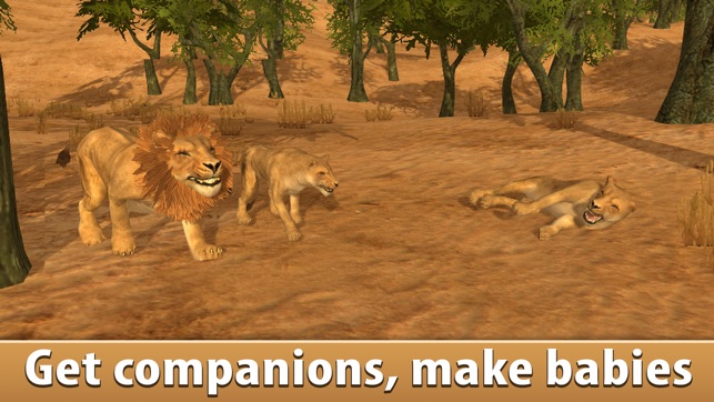 Lion Simulator: Wild African Animal(圖2)-速報App