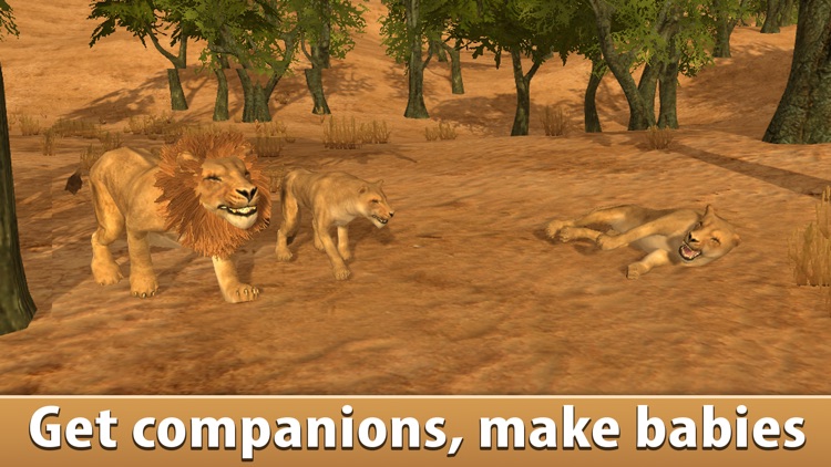 Lion Simulator: Wild African Animal