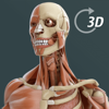 Visual Anatomy 3D  Human