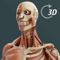 Visual Anatomy 3D | H...