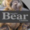 If bears are your thing, this magazine has got the lot