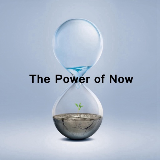 Quick Wisdom from The Power of Now