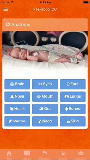 Peekaboo ICU Preemie(圖4)-速報App