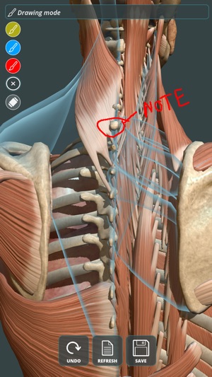 Visual Anatomy 3D | Human(圖2)-速報App