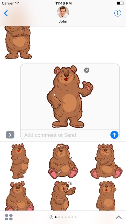 Big Bear - Stickers for iMessage