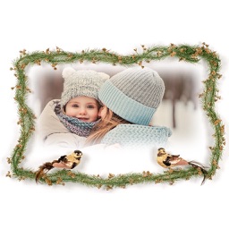 Xmas Tree Picture Frames - Photo Frame Master