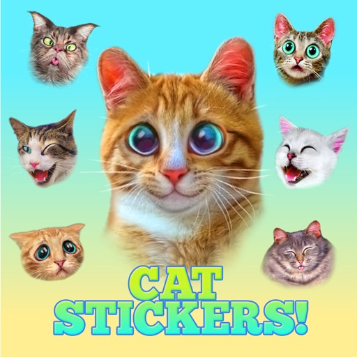 Cute Cat Stickers Icon