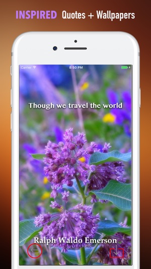 Audubon Wildflowers Wallpapers HD- Quotes and Art(圖5)-速報App