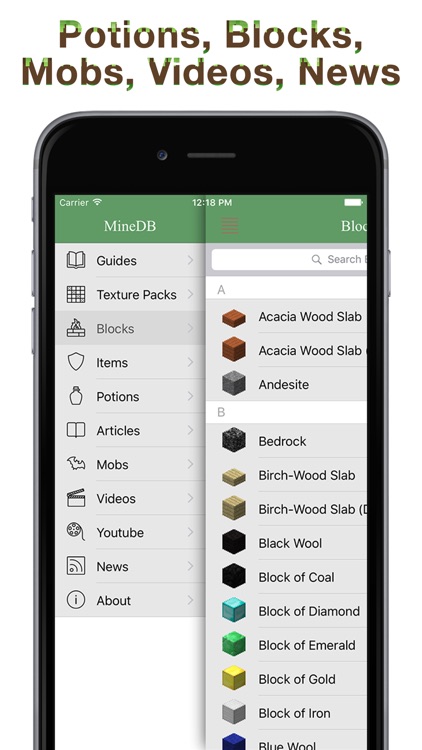 Database for Minecraft - Pocket Edition screenshot-4