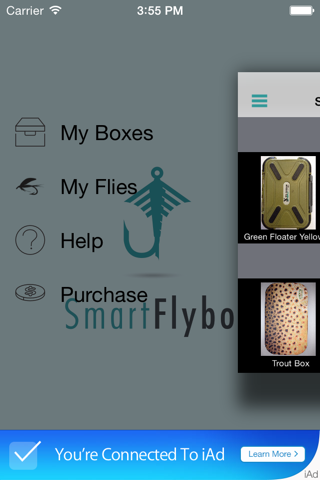 SmartFlybox screenshot 2