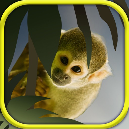 Small Animal Research:Animal care Game Icon
