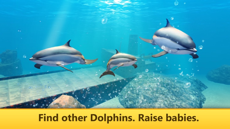 Ocean Dolphin Simulator: Animal Quest 3D screenshot-3