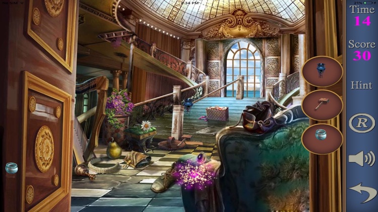 Hidden Objects Of The Stolen Princess screenshot-3