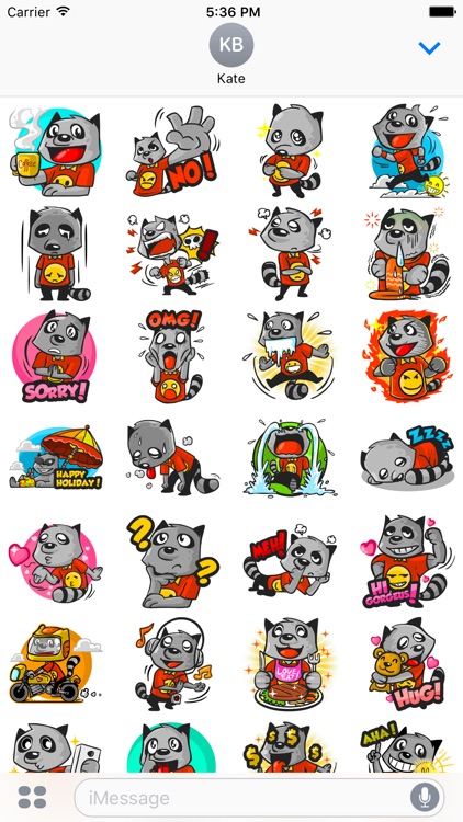 Rubi the Raccoon