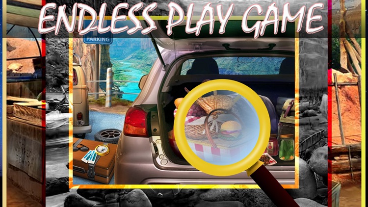 Hidden object miracle mystery pro