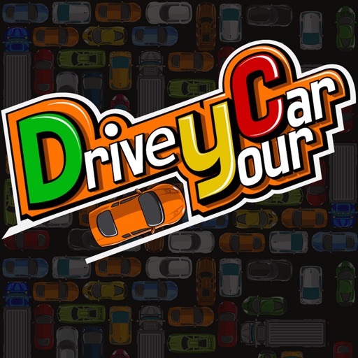 Drive your Car Game icon