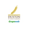 Grapeweb - Duxton